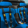Ferrari Seat Belts