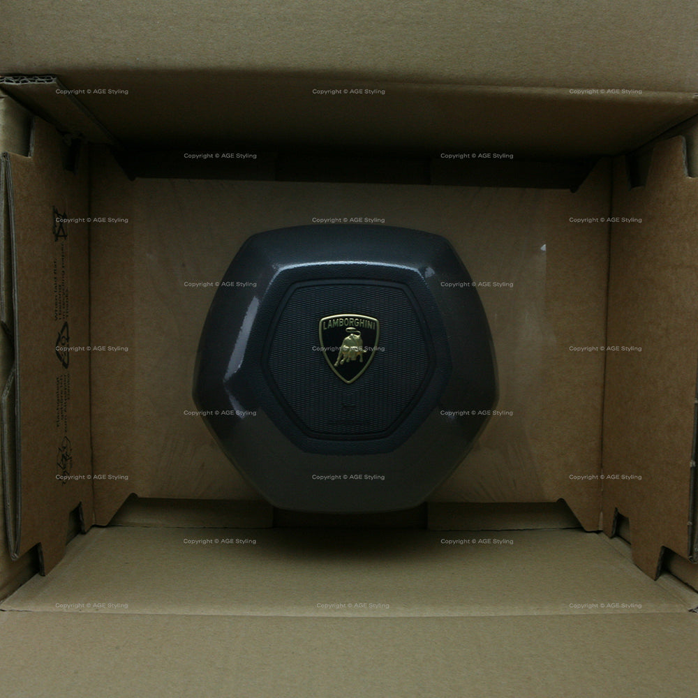 15-24 Lamborghini Huracan Driver Airbag # 4T0-880-201-A-6PS